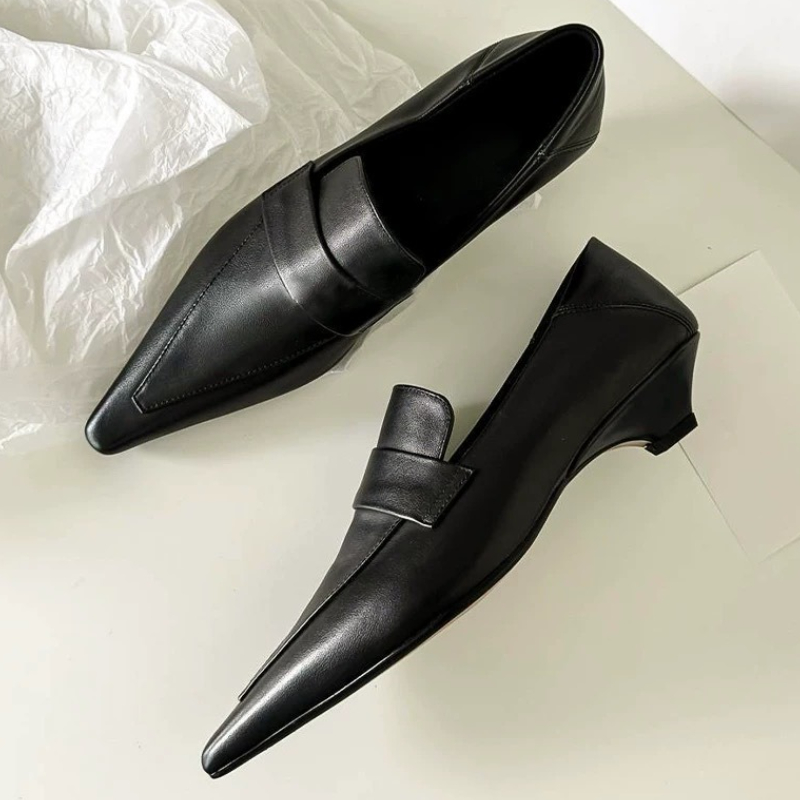 Women Shoes Brands - Pointed Toe Pumps Elegant Women Shoes