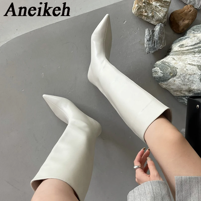 Aneikeh 2026 Fashion Sexy Poin - High Knee Heel Boots 评论和价格