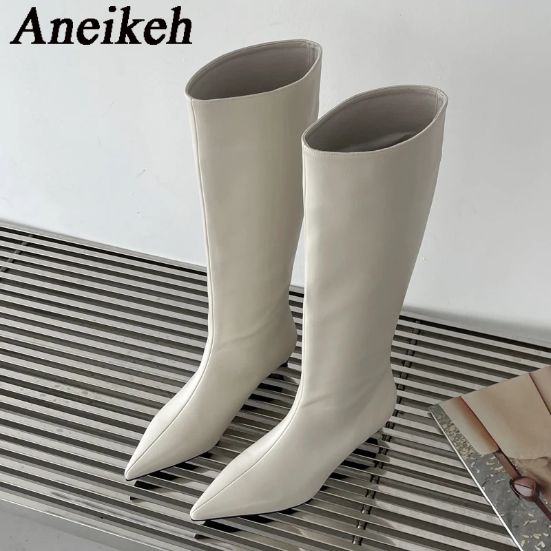 Aneikeh 2026 Fashion Sexy Poin - High Knee Heel Boots 评论和价格