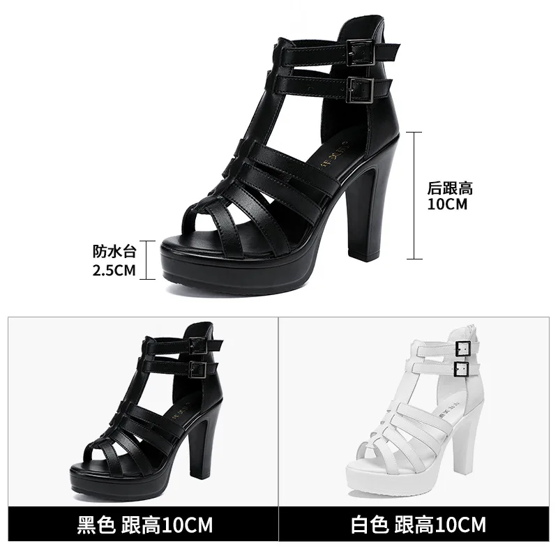 Gladiator Ladies Shoe for Wome - Gladiator Sandal Women 评论和价格